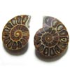 Matching Pair - Natural - EMONITE - Focal Huge size 30x38 mm approx